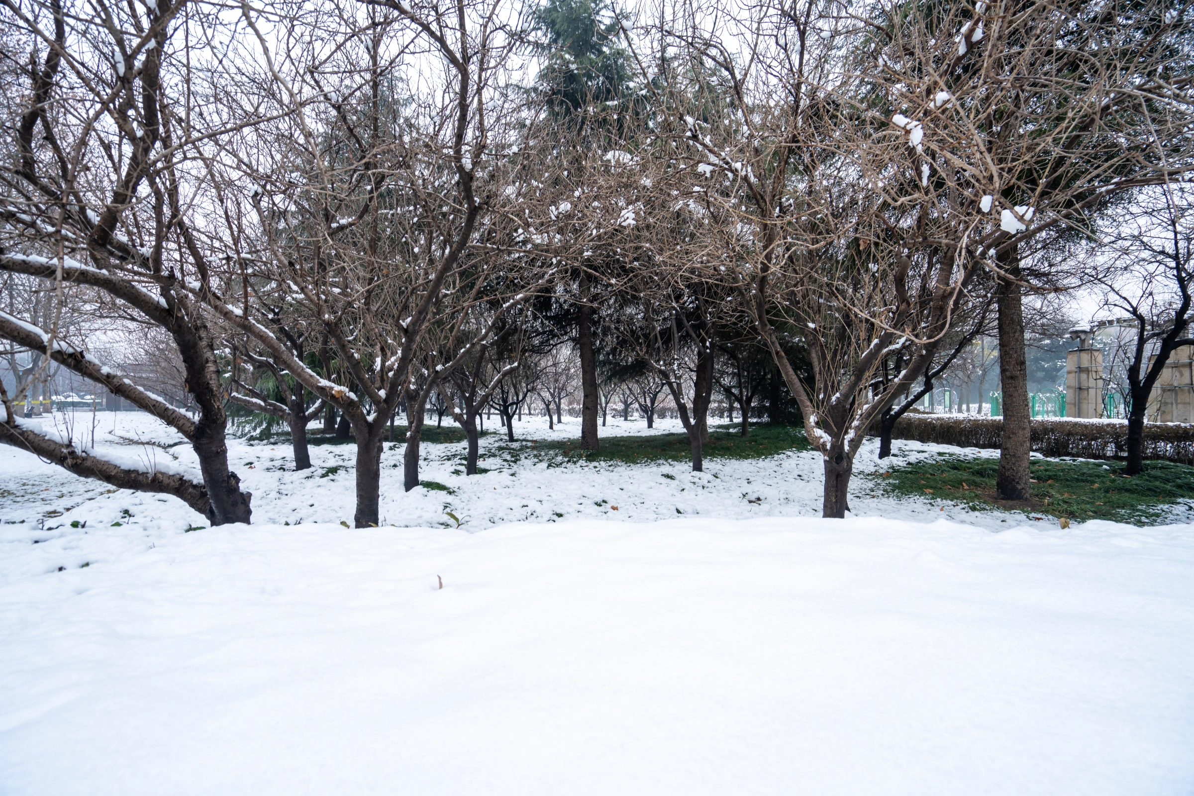 Zhengzhou[1].webp